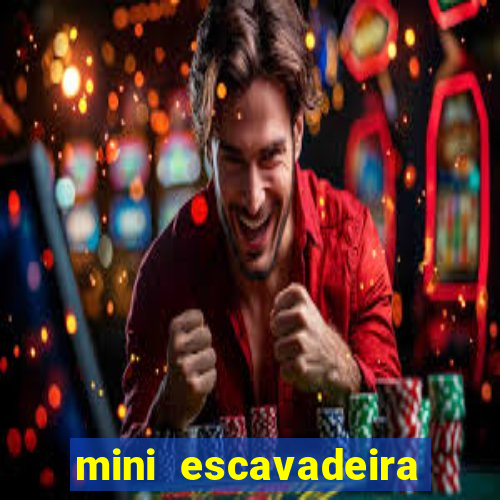 mini escavadeira aluguel rj